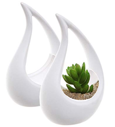 Design Air Plant